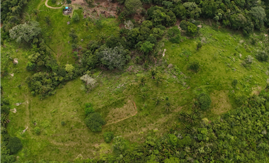 Se Vende Terreno Ideal para Desarrollo Residencial en La Chorrera