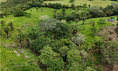 Se Vende Terreno Ideal para Desarrollo Residencial en La Chorrera