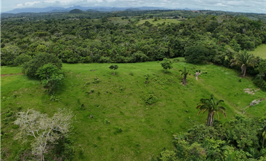 Se Vende Terreno Ideal para Desarrollo Residencial en La Chorrera