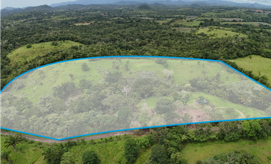 Se Vende Terreno Ideal para Desarrollo Residencial en La Chorrera