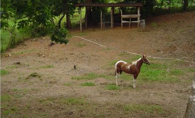 Venta de Casa en Potuga de Parita, Herrera, terreno 2,300 mts2