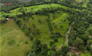 Se Vende Terreno en El Trapichito, La Chorrera