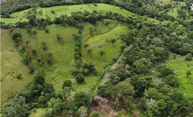 Se Vende Terreno en El Trapichito, La Chorrera