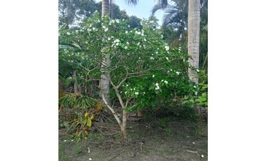 Se vende casa en Río Hato (CG)