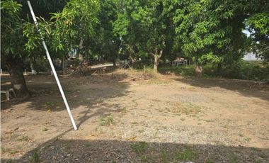 Se vende propiedad en Chepo con negocio funcional incluido (CG)