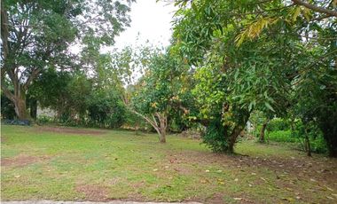 Se vende finca en chorrera (CG)