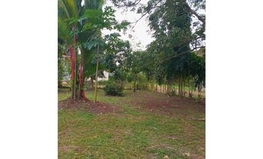 Se vende finca en chorrera (CG)