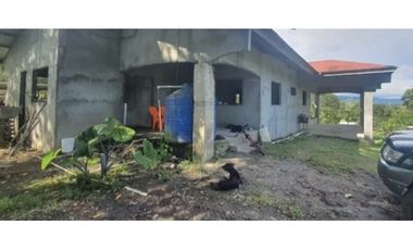 Se Vende casa en Chiriquí (RSdeR-D)