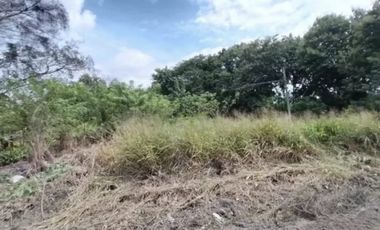 Se vende lote en Coclé (CG-D)