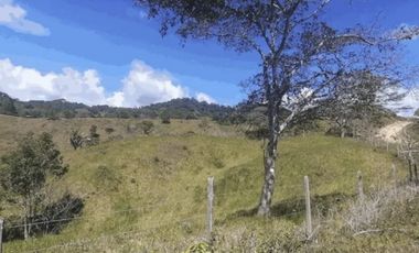 Se vende terreno en Chepo (CG-D)