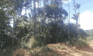 Se vende terreno en Chepo (CG-D)
