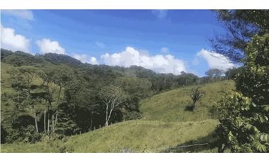 Se vende terreno en Chepo (CG-D)