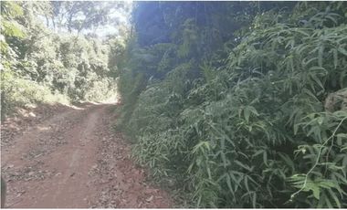 Se vende terreno en Chepo (CG-D)