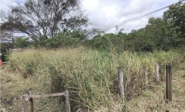 Se vende terreno en Chepo (CG-D)