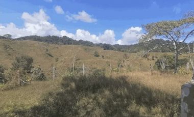 Se vende terreno en Chepo (CG-D)