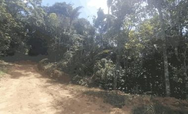 Se vende terreno en Chepo (CG-D)