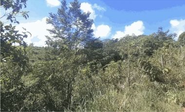 Se vende terreno en Chepo (CG-D)