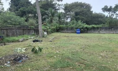 Se vende terreno en Chilibre (CG-D)