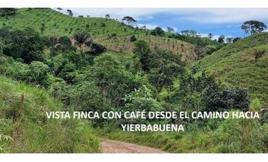 Se Vende finca en Capira (CG)