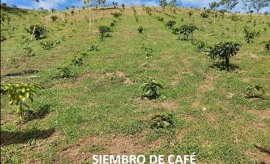 Se Vende finca en Capira (CG)