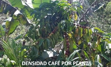 Se Vende finca en Capira (CG)