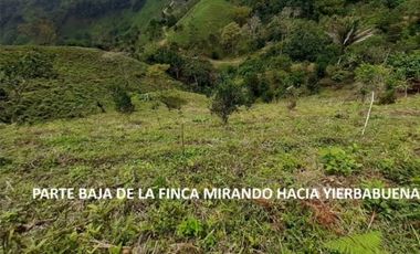 Se Vende finca en Capira (CG)