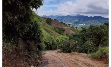 Se Vende finca en Capira (CG)