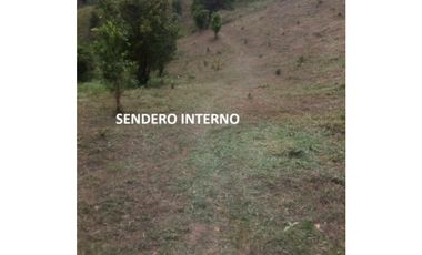Se Vende finca en Capira (CG)