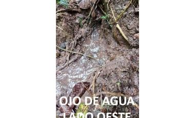 Se Vende finca en Capira (CG)