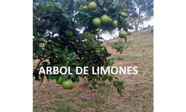 Se Vende finca en Capira (CG)