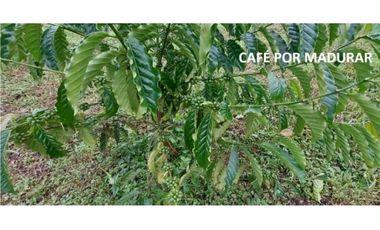 Se Vende finca en Capira (CG)