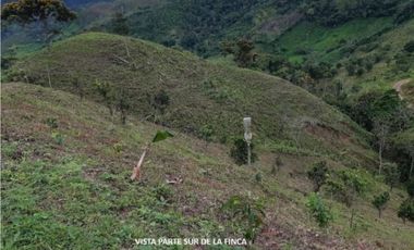 Se Vende finca en Capira (CG)