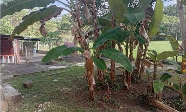 Se Vende casa en Capira (CG)