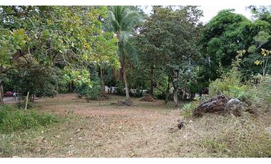 Venta de Terreno en San Martín - Loma Bonita