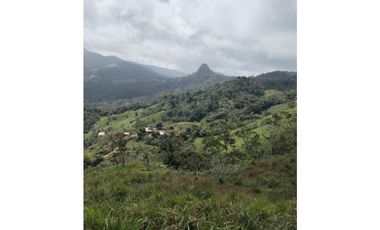 Venta de Terreno en Sorá - Chame