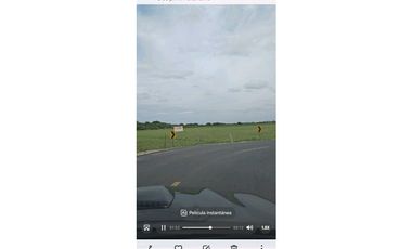 Terreno en venta plano en Penonomé al lado de estadio de Pandeportes