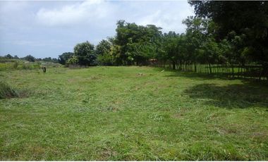 Venta de Terreno en San Carlos - Orilla de la Carretera Interamericana