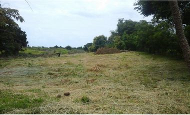 Venta de Terreno en San Carlos - Orilla de la Carretera Interamericana