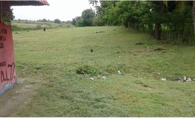 Venta de Terreno en San Carlos - Orilla de la Carretera Interamericana