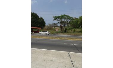 Venta de Terreno en San Carlos - Orilla de la Carretera Interamericana