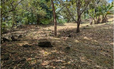 Se vende Terreno Vía Bejuco-Sorá, pocos km de Cajones de Chame