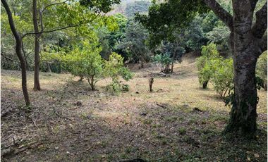 Se vende Terreno Vía Bejuco-Sorá, pocos km de Cajones de Chame