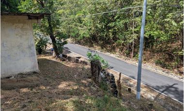 Se vende Terreno Vía Bejuco-Sorá, pocos km de Cajones de Chame