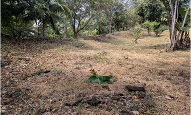 Se vende Terreno Vía Bejuco-Sorá, pocos km de Cajones de Chame