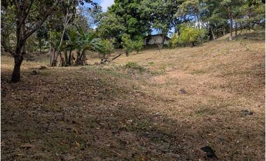Se vende Terreno Vía Bejuco-Sorá, pocos km de Cajones de Chame