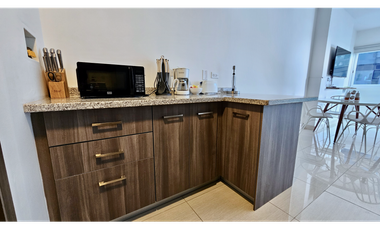 ALQUILER APARTAMENTO LINEA BLANCA AVENIDA BALBOA PH GREEN VIEW 43