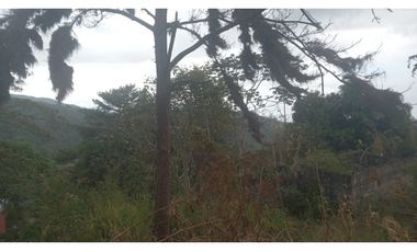 Se Vende Lote en la Vía Cerro Azul/Lot for Sale on Road to Cerro Azul