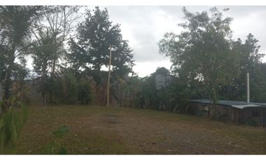 Se Vende Lote en la Vía Cerro Azul/Lot for Sale on Road to Cerro Azul