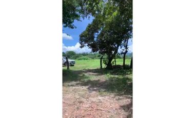 Se vende Terreno de 5 Hectareas en Penonomé