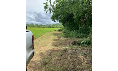 Se vende Terreno de 5 Hectareas en Penonomé